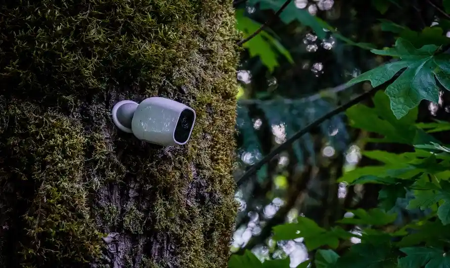 دوربین مخفی برای باغ