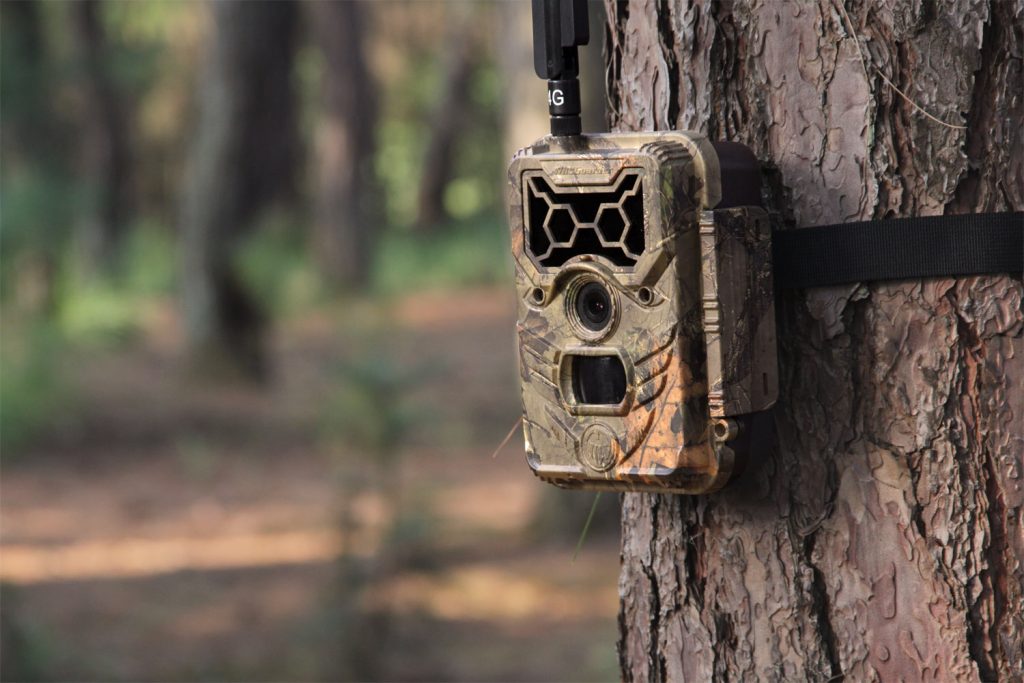 نصب دوربین مخفی تله ای در جنگل و باغ